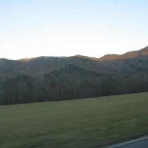 Meet your Posher, Sandy